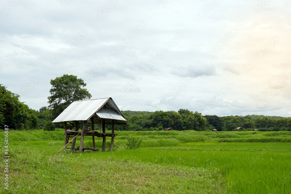 hut in the rice field is a temporary residence built in rice fields for farmers to shelter from the sun and Take food and drink breaks while working outdoors. Soft and selective focus. hut in the rice field is a temporary residence built in rice fields for farmers to shelter from the sun and Take food and drink breaks while working outdoors. Soft and selective focus.