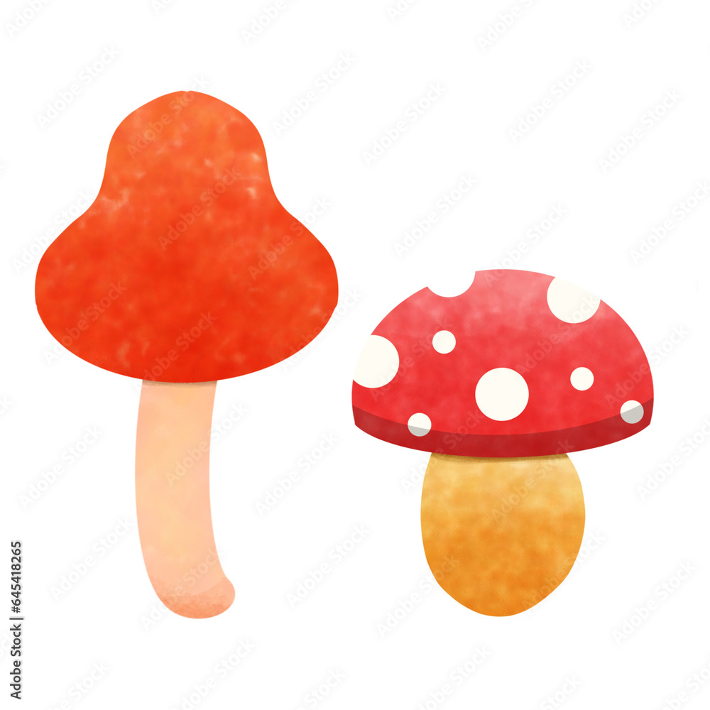 fly agaric mushroom fly agaric mushroom