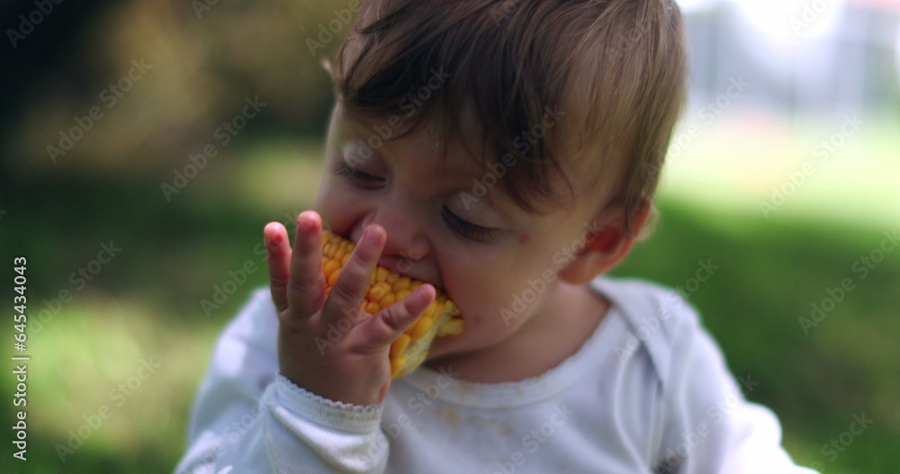 Adorable baby taking a bite of corn cob. Infant toddler portrait eating healthy snack outside in nature Adorable baby taking a bite of corn cob. Infant toddler portrait eating healthy snack outside in nature