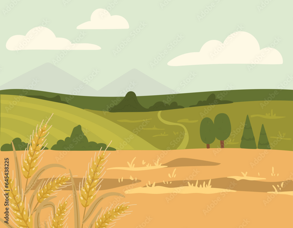 Landscape with wheat vector, summer landscape illustration, rural landscape with wheat fields, wheat plants vector