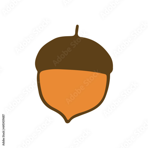 acorn. image of dubar fruits. coloring. doodle. drawing for stickers, decor, cards, badges, coloring pages, logos. vector illustration photo