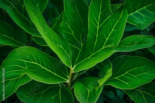the captivating intricacies of a verdant plant with lush green leaves - AI Generative