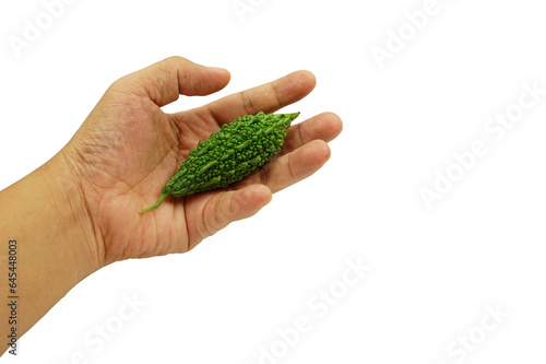 A bitter gourd in hand isolated on white background clipping path, abstract food and health care concept, PNG.