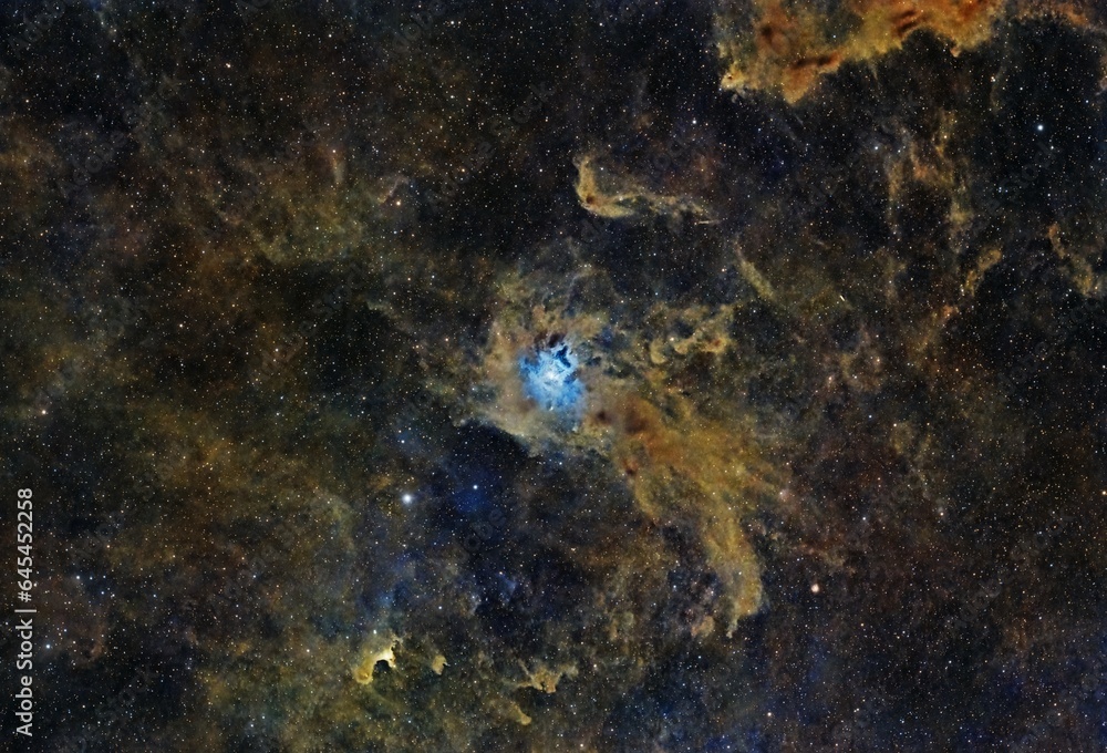 Obraz premium The Iris Nebula
