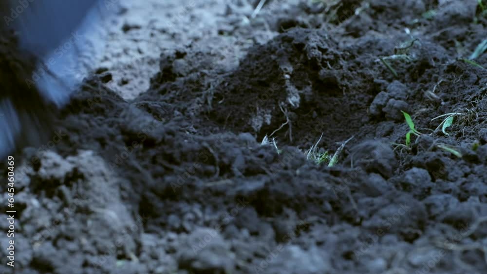 The farmer makes furrows in the ground for sowing plants close-up The farmer makes furrows in the ground for sowing plants close-up