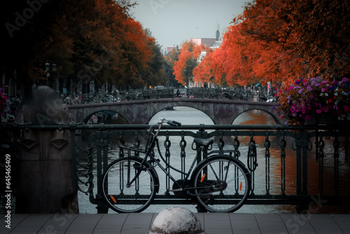 A bridge over a canal in Amsterdam with Red tree leaves