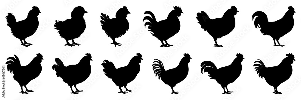 Fototapeta premium Chicken farm animals silhouettes set, large pack of vector silhouette design, isolated white background