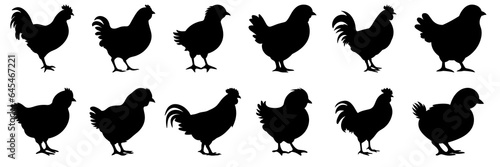 Chicken farm animals silhouettes set, large pack of vector silhouette design, isolated white background