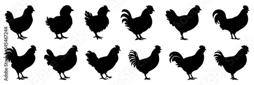 Chicken farm animals silhouettes set, large pack of vector silhouette design, isolated white background