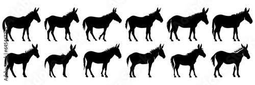 Donkey silhouettes set, large pack of vector silhouette design, isolated white background