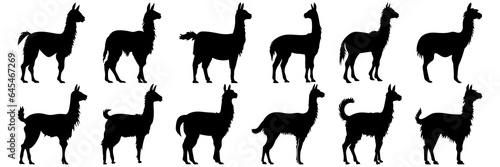 Llama alpaca silhouettes set, large pack of vector silhouette design, isolated white background