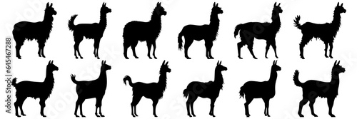 Llama alpaca silhouettes set, large pack of vector silhouette design, isolated white background