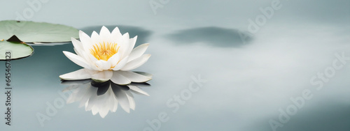 Zen flower lotus in water © @uniturehd