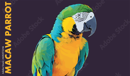 Vector bright macaw parrot 
isolated on a black background. 
Tropical bird of paradise.
Blue and yellow macao ara.