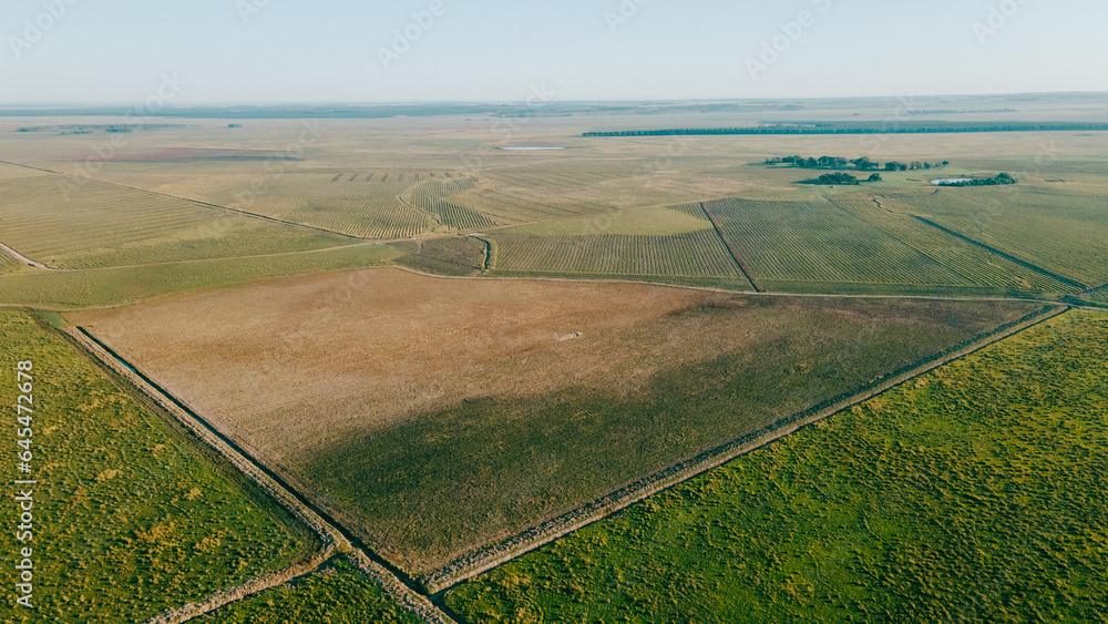 Aerial image of reforestation field and green bonus, in south america