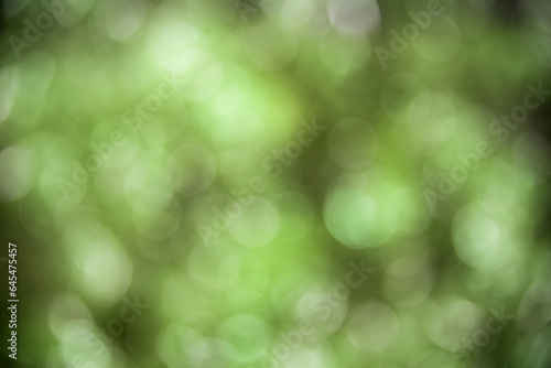 Green Shiny Christmas Background With Text Copyspace