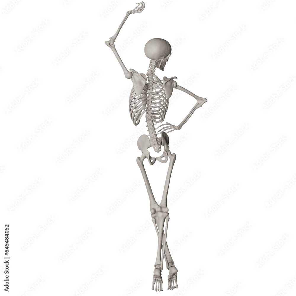 skeleton posing 3d render illustration with transparent background skeleton posing 3d render illustration with transparent background