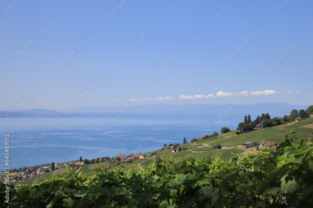 Aerial drone view of beautiful landscape of vineyards and Lake Geneva, Montreux, Switzerland
