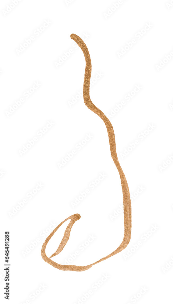 Golden line on a white background
