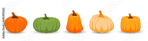 Set of different colors pumpkins on white background. Happy Halloween. Thanksgiving day with pumpkins.