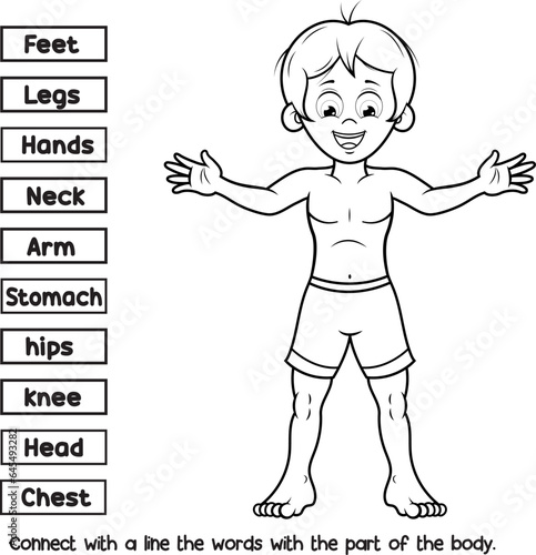 Actividad educativa de biologia de unir la palabra correspondiente con la parte del cuerpo y colorear.