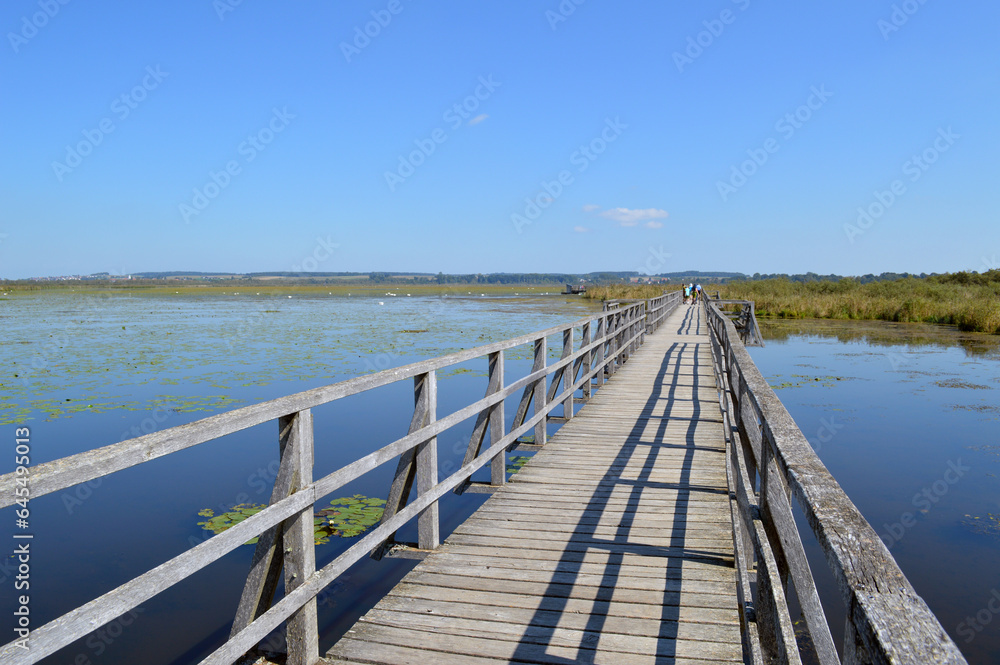 Obraz premium Der Federsee