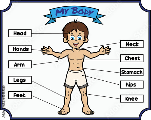 Foto Afiche educativo para colegio donde se ve a un niño y las diferentes partes del cuerpo