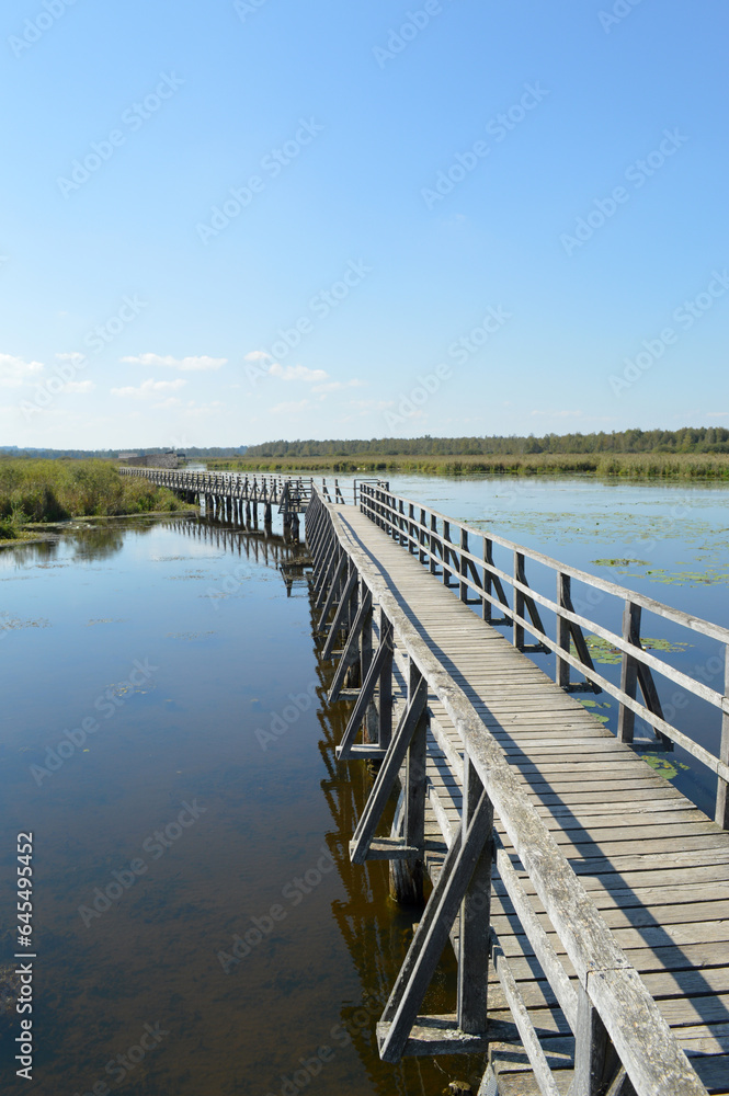 Obraz premium Der Federsee