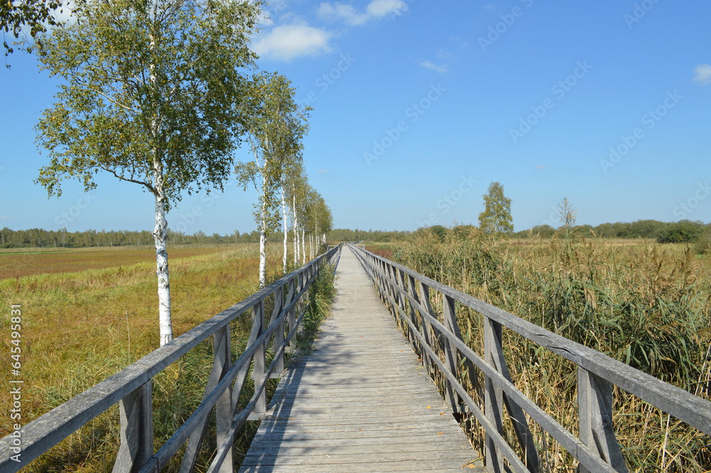 Der Federsee