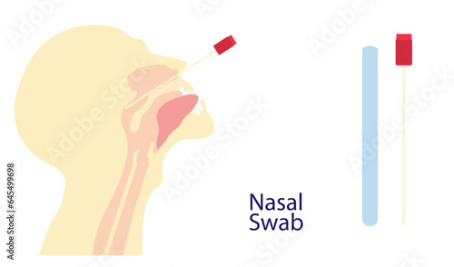 Nasal swab beeing inserted in a human nose ilustration. 