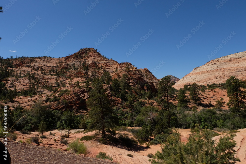 Zion national park