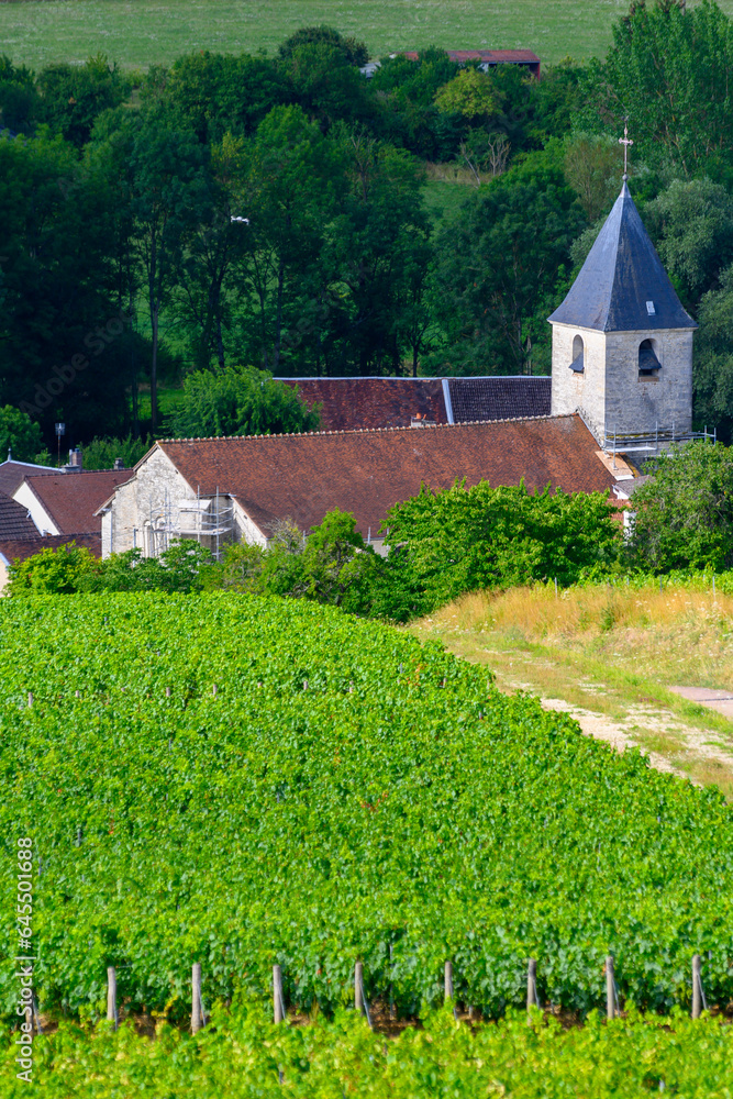 Hills with vineyards and church in Urville, champagne vineyards in Cote des Bar, Aube, south of Champange, France