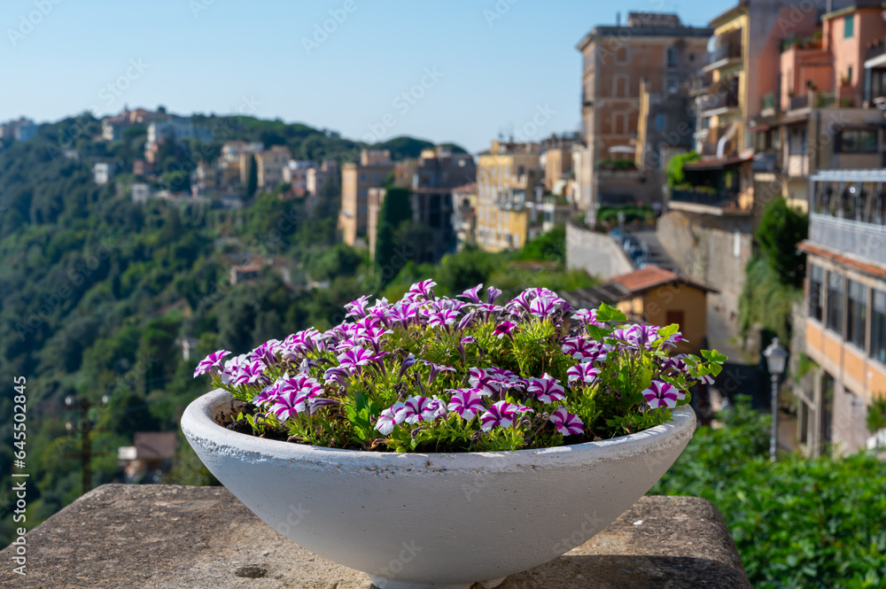 Walking in Castel Gandolfo, summer residence of pope, view on green Alban hills overlooking volcanic crater lake Albano, Castelli Romani, Italy in summer