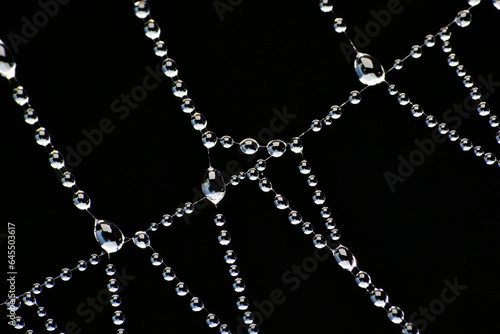 spider web and water drops 