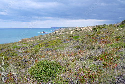 Rota Vicentina, a long distance hiking trail in the southwest of Portugal      photo