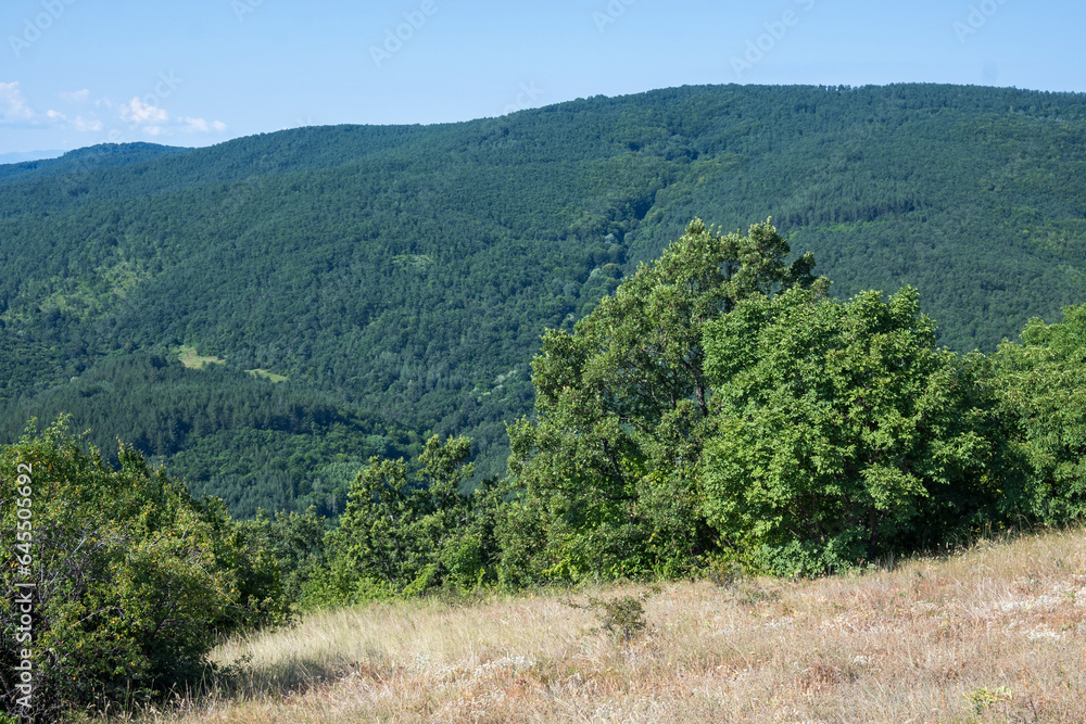 Summer Landscape of Rudina mountain, Bulgaria Summer Landscape of Rudina mountain, Bulgaria