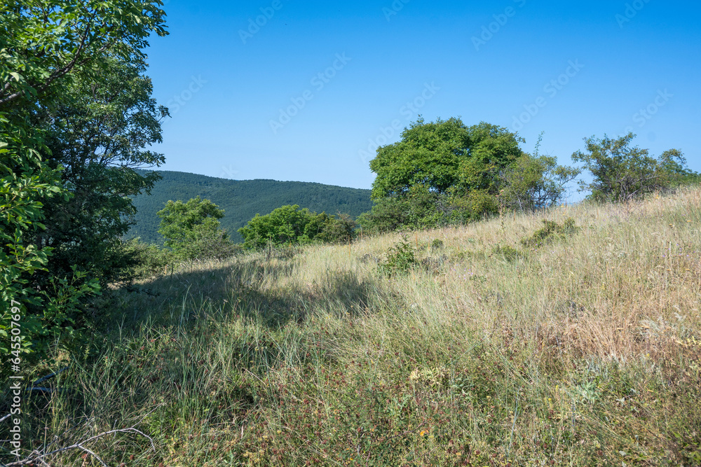 Summer Landscape of Rudina mountain, Bulgaria Summer Landscape of Rudina mountain, Bulgaria