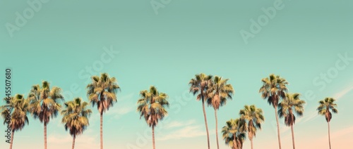 Landscape with beautiful sky with clouds and coconut trees. Generative AI