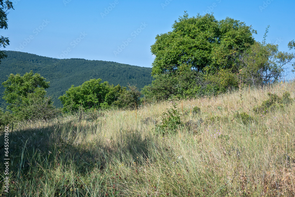 Summer Landscape of Rudina mountain, Bulgaria Summer Landscape of Rudina mountain, Bulgaria