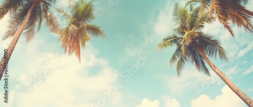 Landscape with beautiful sky with clouds and coconut trees. Generative AI © Deivison