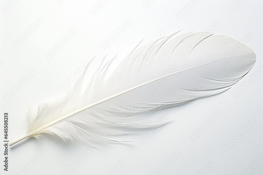 White bird feather on white background. Generative AI White bird feather on white background. Generative AI