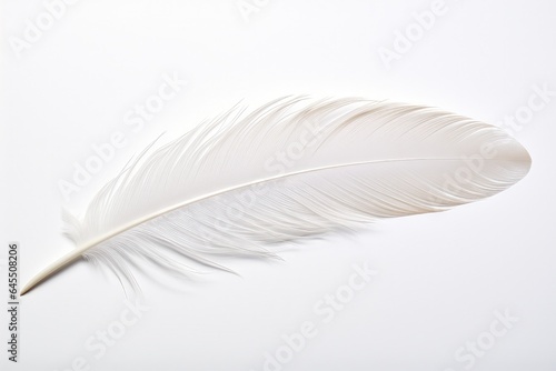 White bird feather on white background. Generative AI