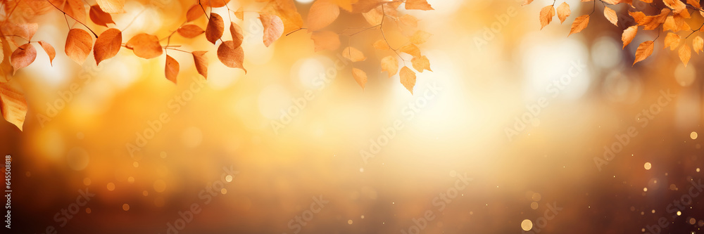 Autumn background with bokeh. Beautiful orange leaves and blurred background. Autumn background with bokeh. Beautiful orange leaves and blurred background.