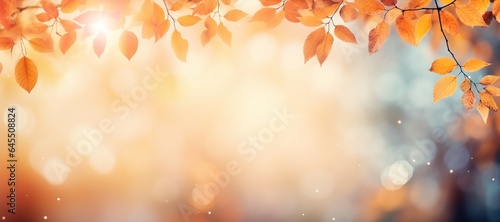 Autumn background with bokeh. Beautiful orange leaves and blurred background.