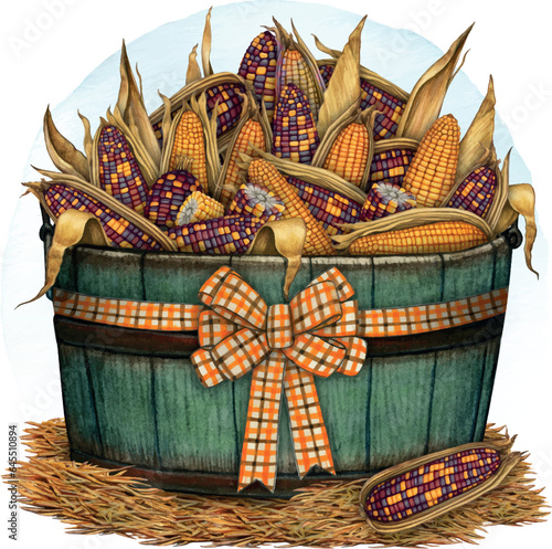 Watercolor hand drawn corn cobs composition