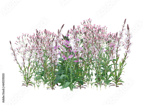 Various types of flowers grass bushes shrub and small plants