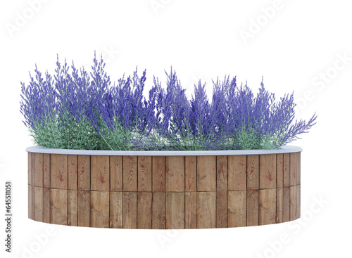 Fototapeta purple flower in circle wooden planter