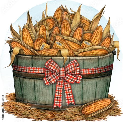 Watercolor hand drawn corn cobs composition
