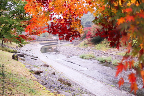 美しい紅葉と川のある風景 Fototapet