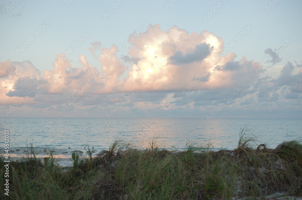 View out to water Pass a grille beach , Florida Shoreline, beach and blue sky with white clouds. Sea oats 